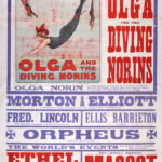 Large red, blue, and white theatre poster for the King’s Theatre and Hippodrome, Dundee, advertising a variety programme beginning 3 March 1913. The poster features an illustration of Olga and the Diving Norins performing a high dive, alongside performers including Ethel Loftus, Mascot the educated horse, Fred Lincoln, Ellis Barrieton, and the musical comedy Wedgwood Blue.